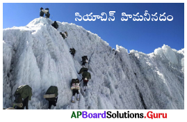 AP Board 7th Class Maths Solutions Chapter 1 పూర్ణ సంఖ్యలు Review Exercise 3