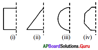 AP Board 7th Class Maths Solutions Chapter 12 Symmetry Review Exercise 1