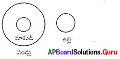 AP Board 7th Class Maths Solutions Chapter 4 రేఖలు మరియు కోణాలు InText Questions 46