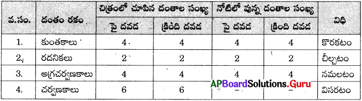 AP Board 7th Class Science Solutions Chapter 3 జీవులలో పోషణ 8