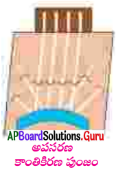 AP Board 7th Class Science Solutions Chapter 8 కాంతితో అద్భుతాలు 8