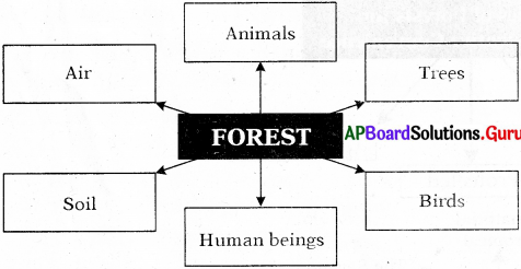 AP Board 7th Class Social Solutions 2nd Lesson Forests 2