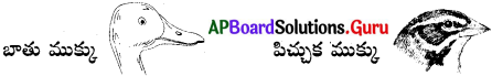 AP 6th Class Science Important Questions Chapter 3 జంతువులు – ఆహారం 2