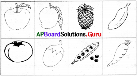 AP Board 6th Class Science Solutions Chapter 1 మనకు కావలసిన ఆహారం 1