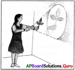 AP Board 6th Class Science Solutions Chapter 11 నీడలు – ప్రతిబింబాలు 3