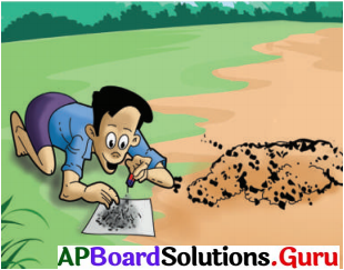 AP Board 6th Class Science Solutions Chapter 6 అయస్కాంతంతో సరదాలు 4