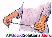 AP Board 6th Class Science Solutions Chapter 8 దుస్తులు ఎలా తయారవుతాయి 4