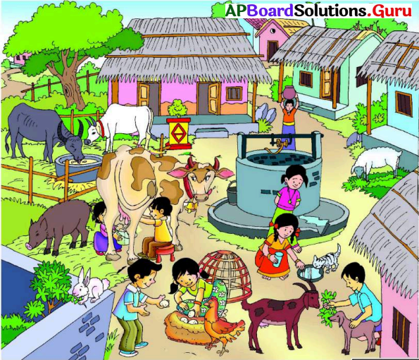 AP Board 7th Class English Solutions Unit 1 My Painted House, Friendly  Chicken and Me – AP Board Solutions