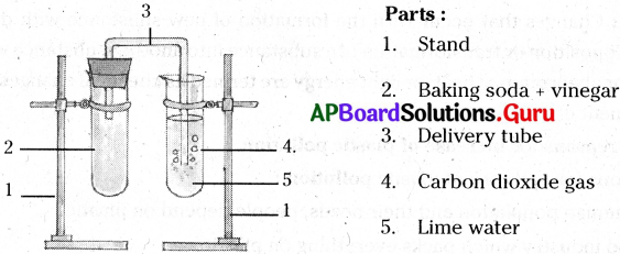 AP Board 7th Class Science Solutions 10th Lesson Changes Around Us 1