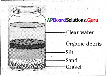 AP Board 7th Class Science Solutions 12th Lesson Soil and Water 5