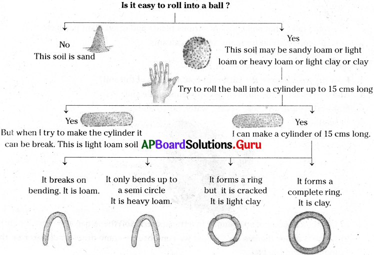 AP Board 7th Class Science Solutions 12th Lesson Soil and Water 9