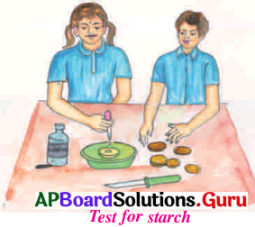 AP Board 7th Class Science Solutions 1st Lesson Food for Health 3