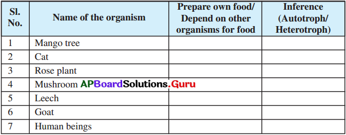 AP Board 7th Class Science Solutions 3rd Lesson Nutrition in Organisms 6