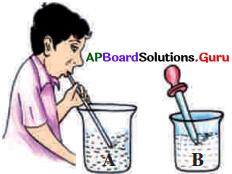 AP Board 7th Class Science Solutions 4th Lesson Respiration and Circulation 7