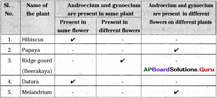AP Board 7th Class Science Solutions 7th Lesson Reproduction in Plants 8