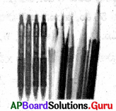 AP Board 8th Class Maths Solutions Chapter 2 ఏకచరరాశిలో రేఖీయ సమీకరణాలు Ex 2.2 9