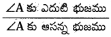AP Board 10th Class Maths Solutions Chapter 11 త్రికోణమితి Exercise 11.1 24
