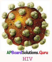 AP Board 8th Class Biology Solutions Chapter 3 సూక్ష్మజీవుల ప్రపంచం 1 2
