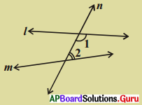 AP Board 9th Class Maths Solutions Chapter 3 జ్యామితీయ మూలాలు Ex 3.1 6