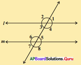 AP Board 9th Class Maths Solutions Chapter 4 సరళ రేఖలు మరియు కోణములు Ex 4.3 1