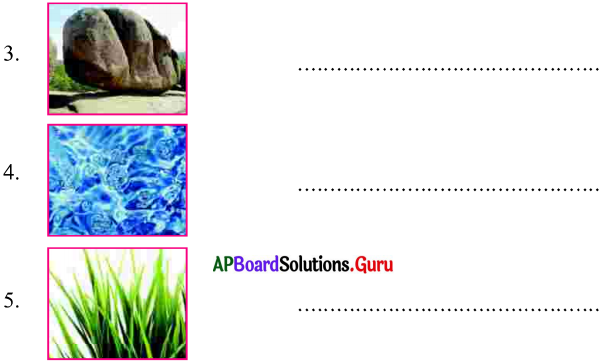 AP Board 7th Class Hindi Solutions 11th Lesson सफलता का मंत्र 10