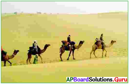 AP Board 7th Class Hindi Solutions 11th Lesson सफलता का मंत्र 2