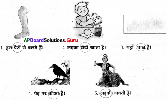 AP Board 7th Class Hindi Solutions 2nd Lesson होशियार कौआ 4