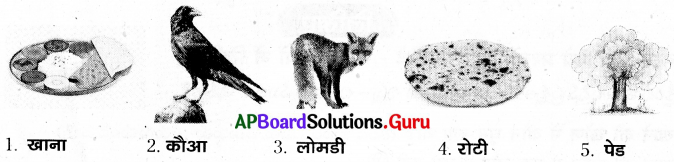 AP Board 7th Class Hindi Solutions 2nd Lesson होशियार कौआ 5