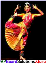 AP Board 7th Class Hindi Solutions 3rd Lesson आदिवासी नृत्य – धिंसा 8