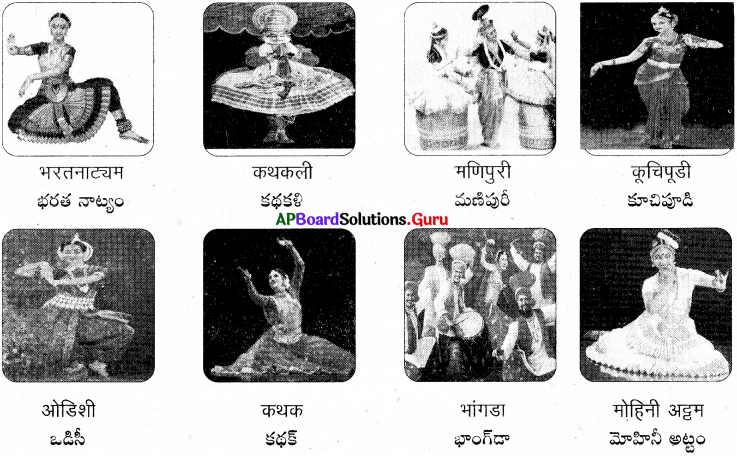 AP Board 7th Class Hindi Solutions 3rd Lesson आदिवासी नृत्य – धिंसा 9