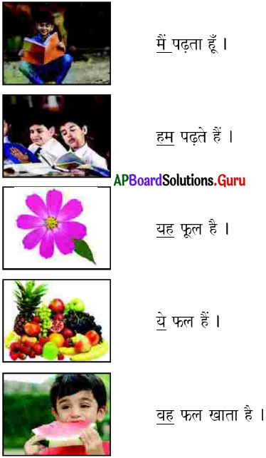 AP Board 7th Class Hindi Solutions 7th Lesson कोयल 10