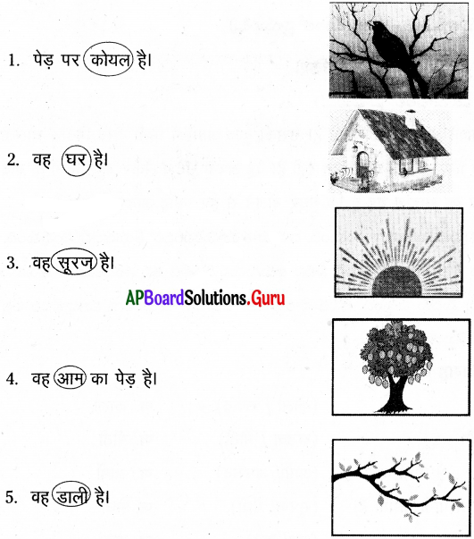 AP Board 7th Class Hindi Solutions 7th Lesson कोयल 4