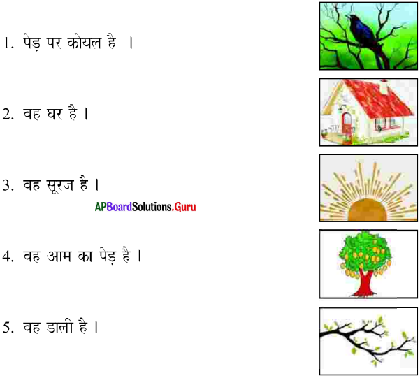 AP Board 7th Class Hindi Solutions 7th Lesson कोयल 5