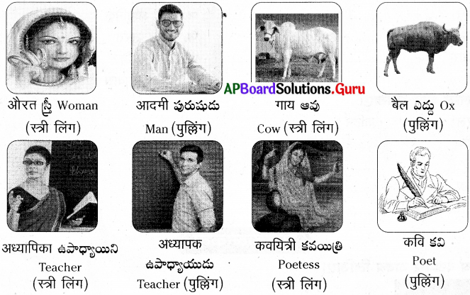 AP Board 7th Class Hindi Solutions 8th Lesson आओ हिन्दी सीखें 11
