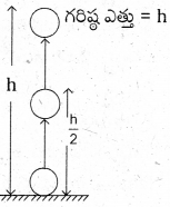 AP Board 8th Class Physical Science Solutions 1st Lesson బలం 11