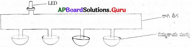 AP Board 8th Class Physical Science Solutions 9th Lesson ద్రవాల విద్యుత్ వాహకత 2