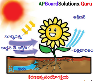 AP Board 10th Class Biology Solutions 1st Lesson పోషణ – ఆహార సరఫరా వ్యవస్థ 1