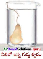 AP Board 9th Class Biology Solutions 4th Lesson ప్లాస్మా పొర గుండా పదార్థాల కదలిక 11