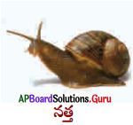 AP Board 9th Class Biology Solutions 5th Lesson జీవులలో వైవిధ్యం 25