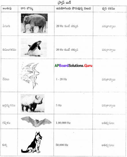 AP Board 9th Class Physical Science Solutions 11th Lesson ధ్వని 8